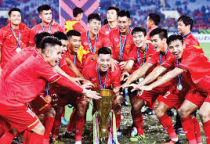 Thể Thao Việt Nam Đang Thay Đổi: Từ Phong Trào Tới Chuyên Nghiệp Hóa