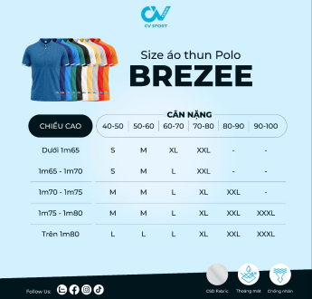 POLO CV BREZEE